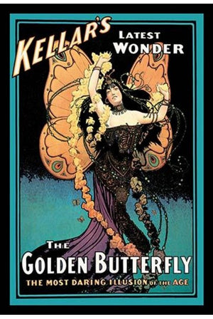 1912 Worth Haute Couture Beaded Butterfly Motif Silk Gown & Headpiece