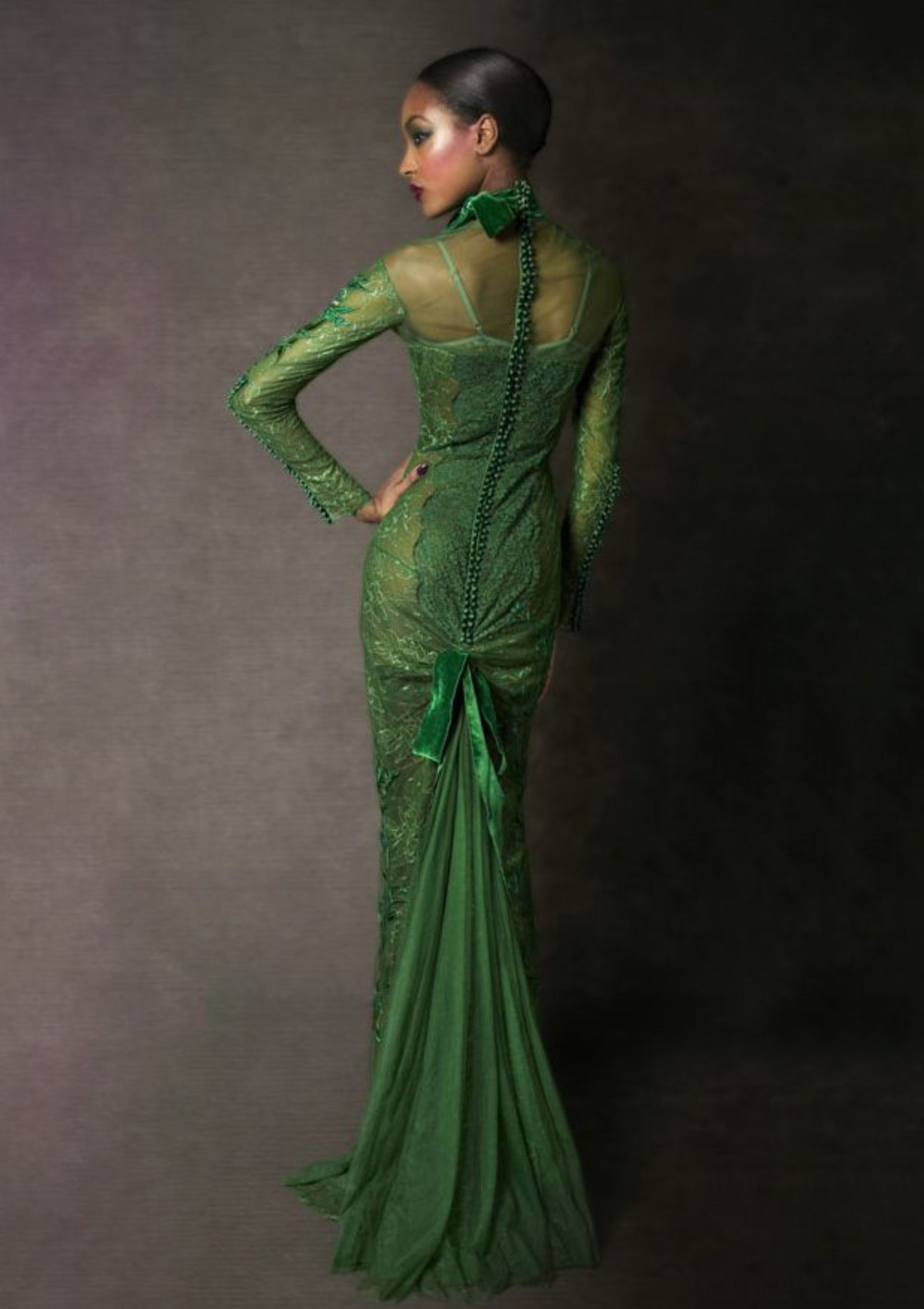 tom ford green dress 2011 Tom Ford Green Sheer Tulle Lace Velvet-Bra Trained Editorial Gown