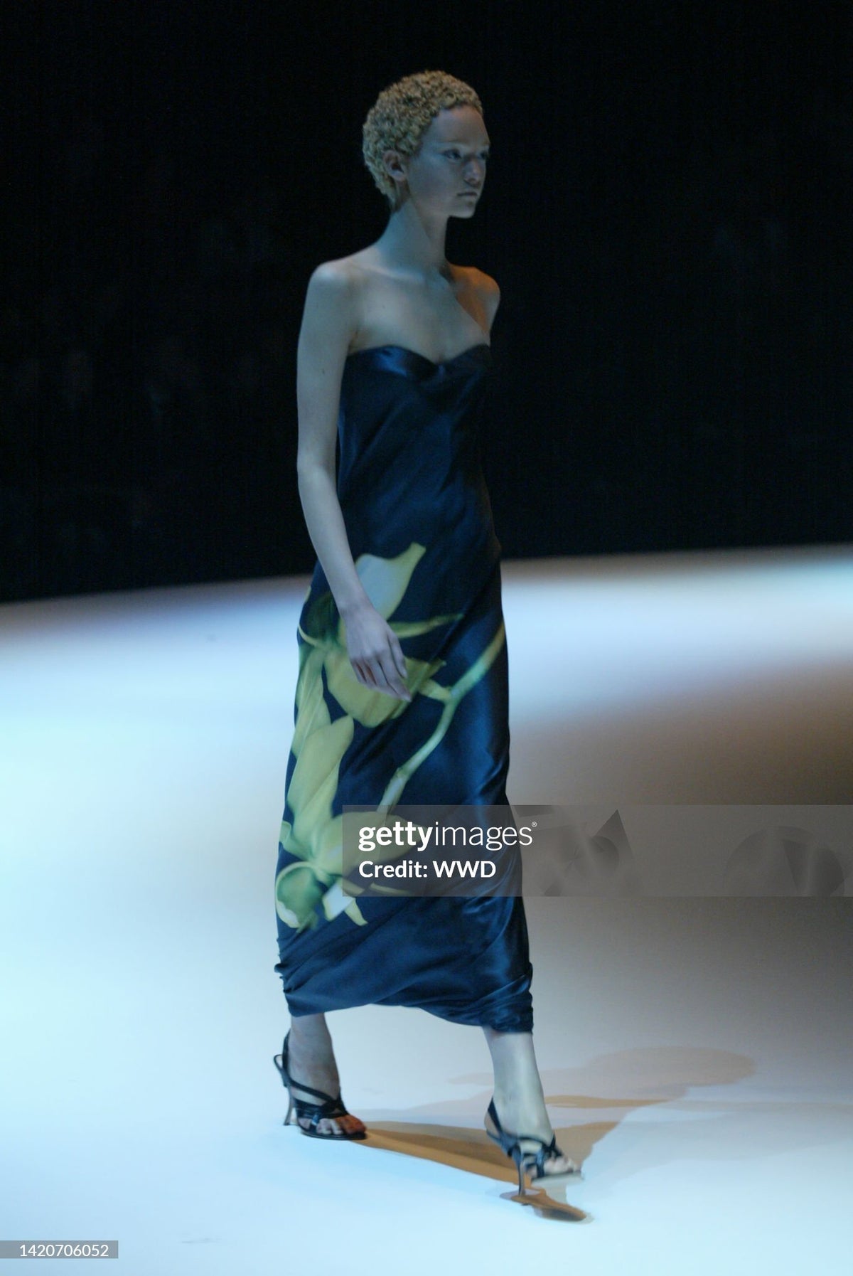 2004 Alexander McQueen ‘Pantheon ad Lucem’ Orchid Print Silk Strapless Bustier Gown