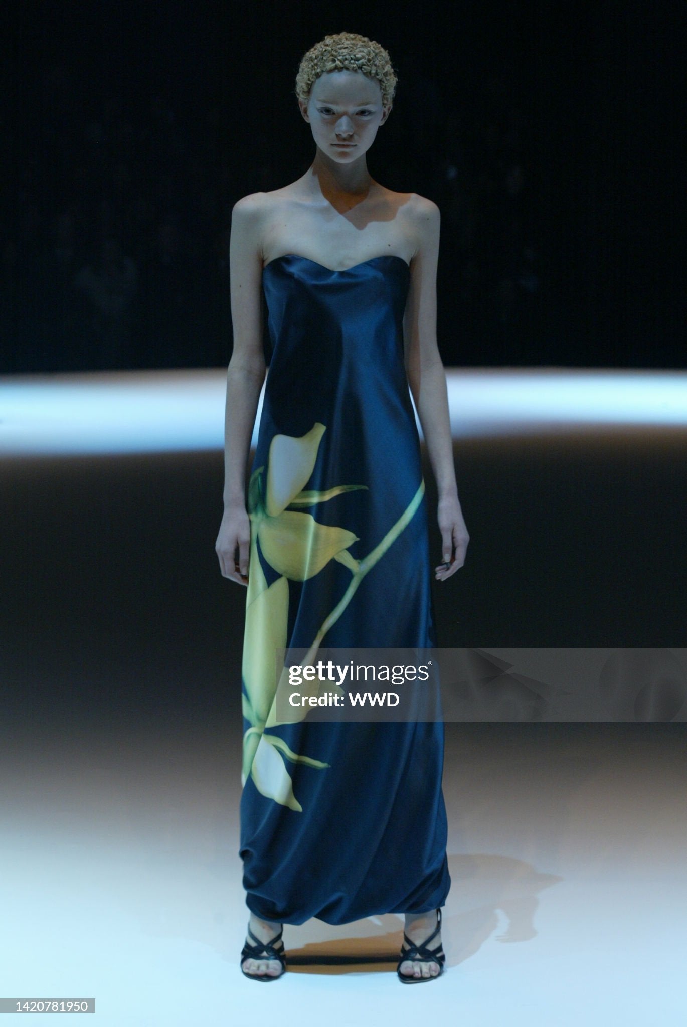 2004 Alexander McQueen ‘Pantheon ad Lucem’ Orchid Print Silk Strapless Bustier Gown