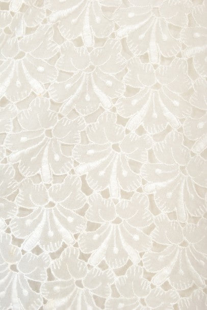 Ivory White Embroidered Cotton Lace Fabric/White Bridal
